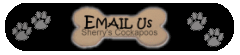 Email Us: email